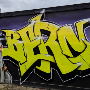 Well Meadow Drive Graffiti (Spring 2019)